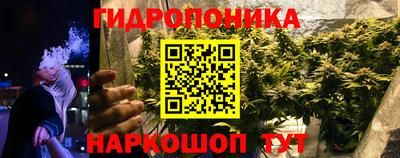 бошки Гусь-Хрустальный