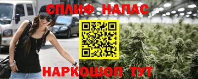 индика Гусев
