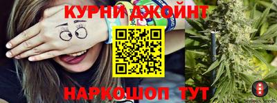 индика Гусев