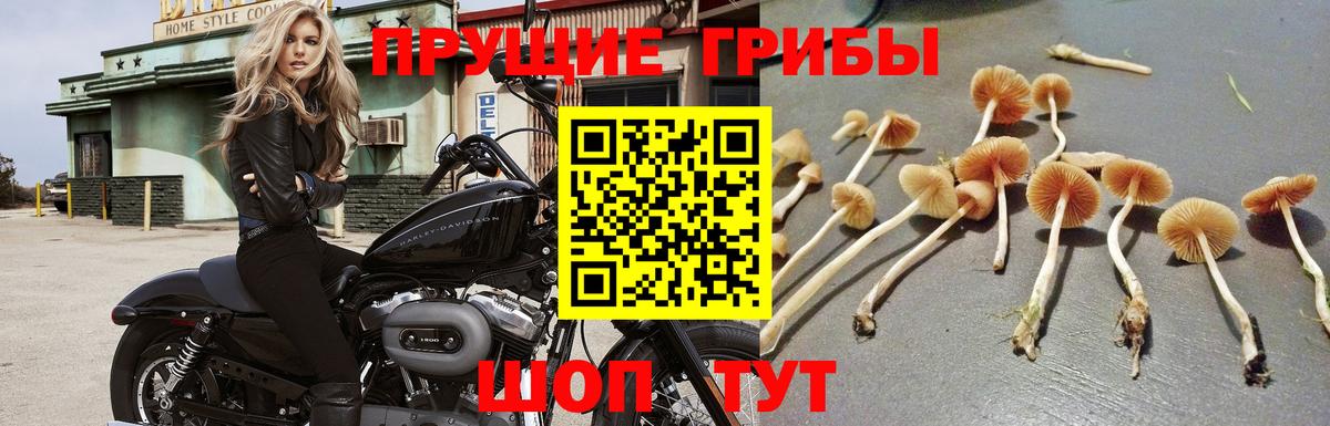 Галлюциногенные грибы Magic Shrooms  Вход с VPN  Можга 